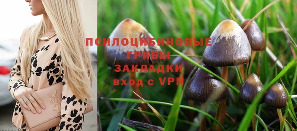 дурь Алексин